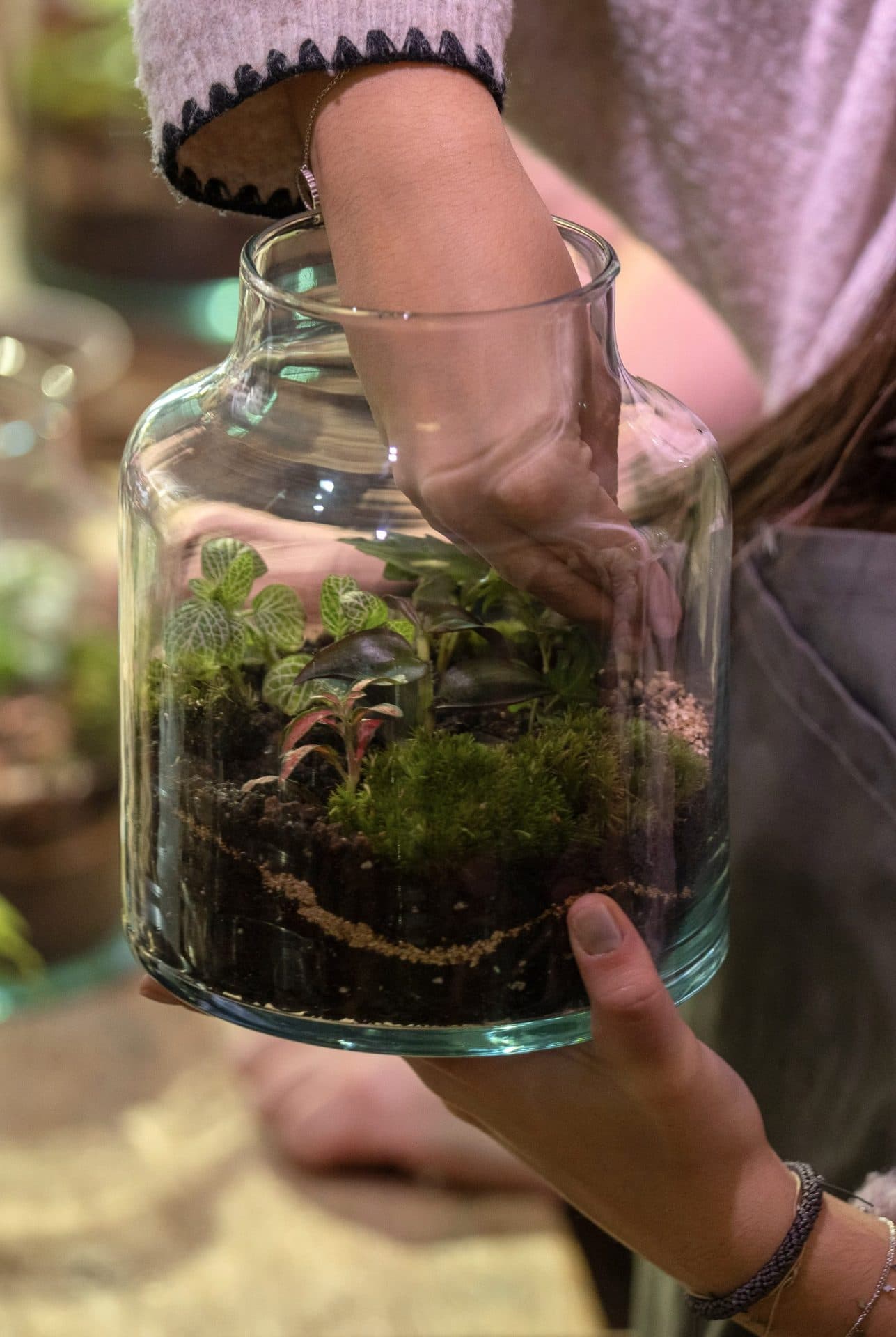 Team Building en Barcelona con plantas