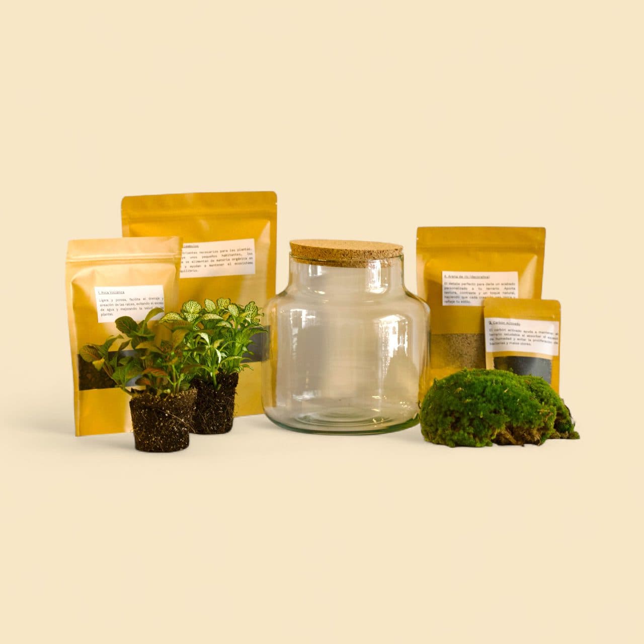 kit do it yourself terrarios