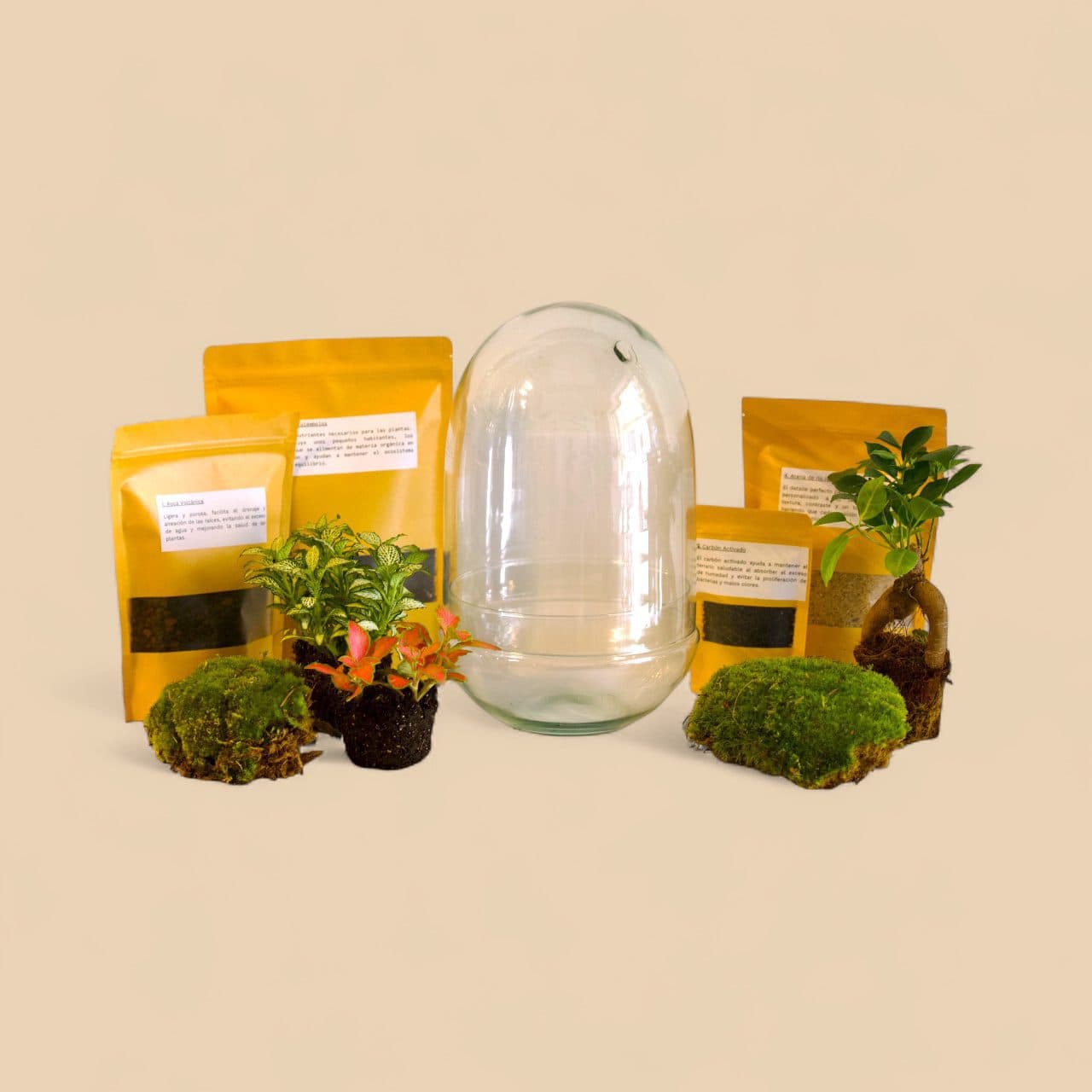 KIT DIY para Terrarios – Cúpula de Cristal Reciclado