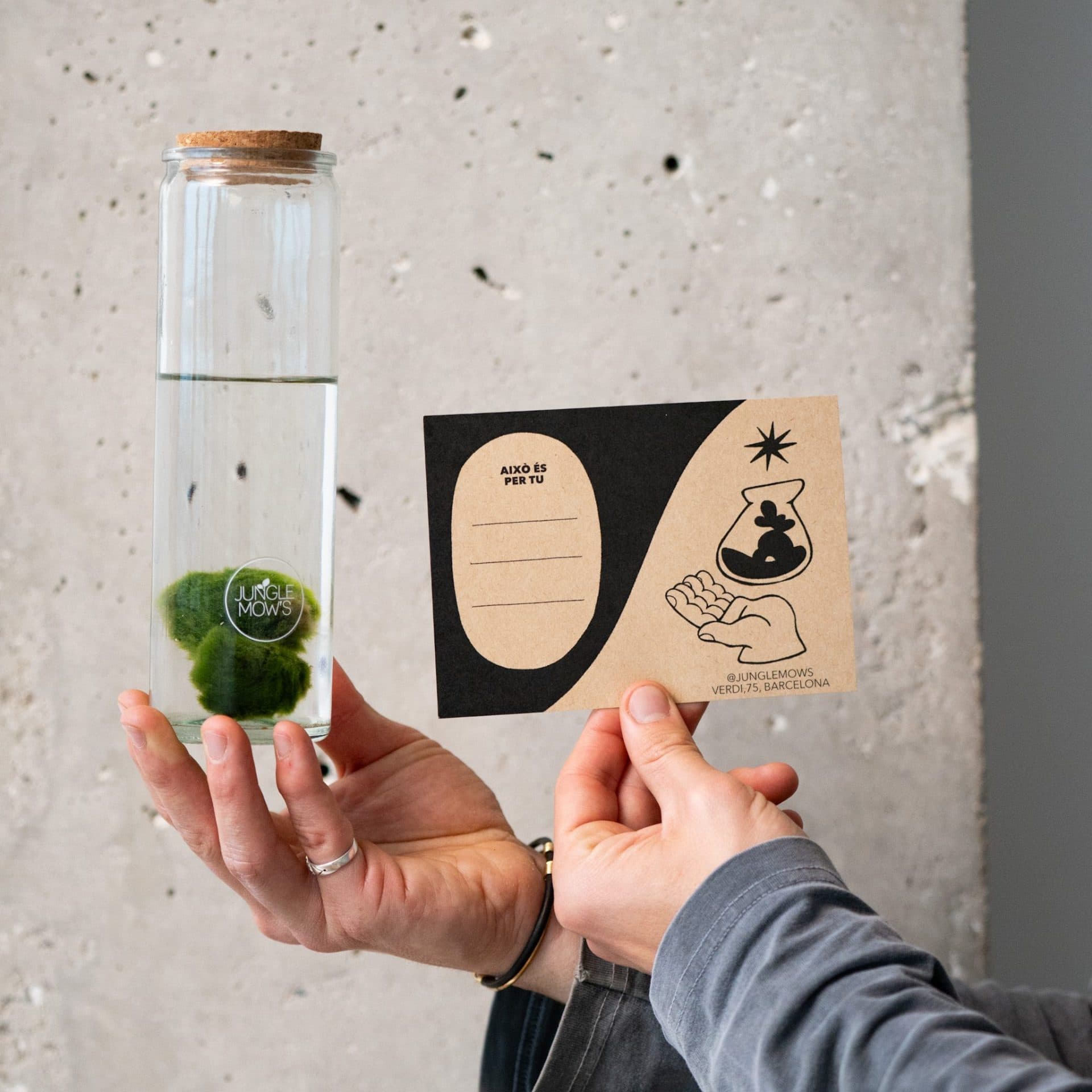MARIMO