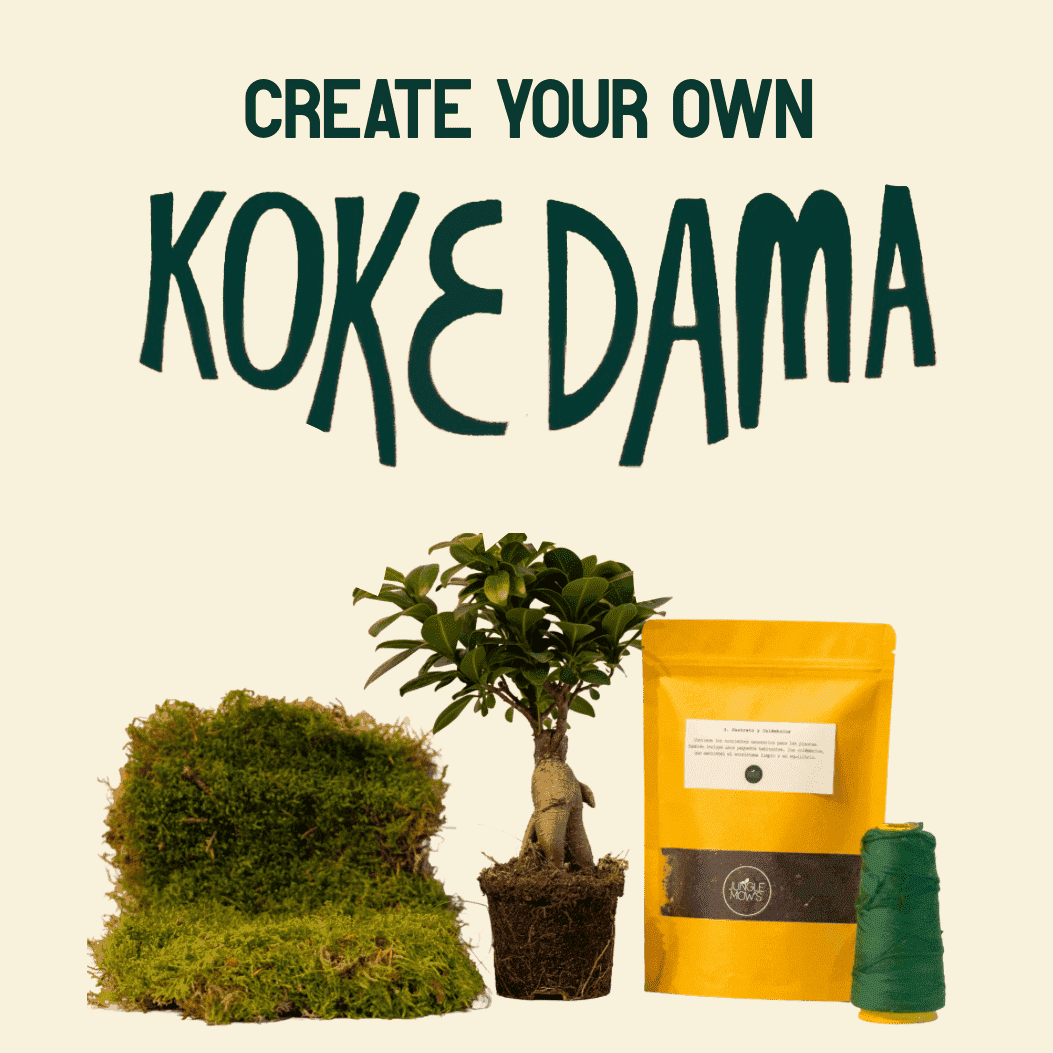 create your own kokedama